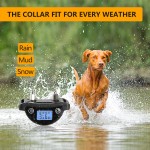 Anti Bark Collar Factory - Automatic Voice Control Electronic
