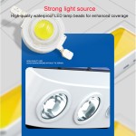 Solar Wall Light Manufacturer - Motion Sensor Waterproof Pathway