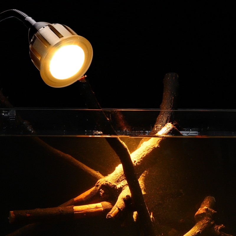 LED Spotlight Manufacturer - Remote Control 3 Colors Full Spectrum