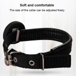 Pet GPS Tracker Supplier - Waterproof Collar Locator Position