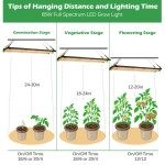 Plant Grow Light Manufacturer - Mute 85W Indoor Phyto Lamp