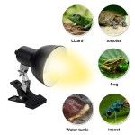 Reptile Heating Lamp Supplier - E27 Ceramic Heating Clip Holder