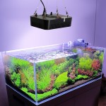 Aquarium Coral Light Factory - 140W Dimmable Marine Reef Lighting