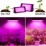Phyto Lamp Manufacturer - Full Spectrum 200W Hydroponics System