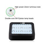 Full Spectrum Grow Light Manufacturer - 300W Flower Vegetable Indoor