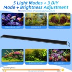 Full Spectrum Aquarium Light Manufacturer - APP Bluetooth Dimmable