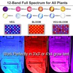 Led Grow Light Factory - 2000W Greenhouse Indoor Phytolamp
