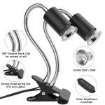 Reptile Basking Lamp Manufacturer - 360 Rotatable Clip Timer