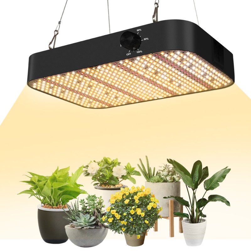LED Grow Light Supplier - 1000W Waterproof Indoor Plant Lamp