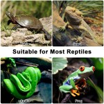 Reptile Basking Lamp Manufacturer - 360 Rotatable Clip Timer
