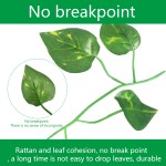 Artificial Vine Supplier - Bendable Reptile Jungle Climbing Branch