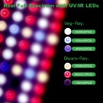 Dimmable Grow Light Factory - 300W with Dimmer Timer Hydroponics