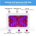 Plant Grow Light Supplier - 1000W Hydroponic Veg Flower Indoor