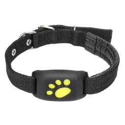Pet GPS Tracker Supplier - Waterproof Collar Locator Position