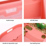 Turtle Terrarium Factory - Small Anti-Escape Climbing Terrace