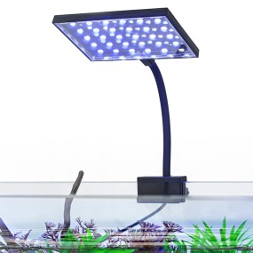 LED Aquarium Light Supplier - High Brightness Algae Landscaping Lamp