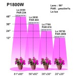 Plant Grow Light Manufacturer - 1800W Full Spectrum Herbal Growth