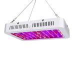 Plant Grow Light Supplier - 1000W Hydroponic Veg Flower Indoor