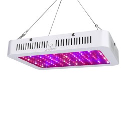 Plant Grow Light Supplier - 1000W Hydroponic Veg Flower Indoor
