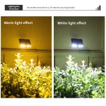 Solar Wall Light Manufacturer - Motion Sensor Waterproof Pathway