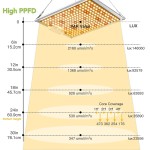 Plant Grow Lights Factory - Dimmable 2400W High PPFD Growth