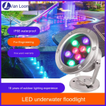 LED Pool Fountain Light Supplier - IP68 Stainless Steel Underwater