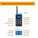 Remote Control Dog Collar Supplier - 1000M WaterProof Vibration Shock