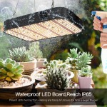 LED Grow Light Supplier - 1000W Waterproof Indoor Plant Lamp