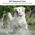 Pet GPS Tracker Supplier - Waterproof Collar Locator Position