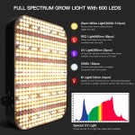 LED Grow Light Supplier - 1000W Waterproof Indoor Plant Lamp