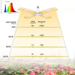 Foldable Grow Light Supplier - 48W E27 Succulent Flower Vegetable
