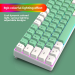 Mechanical Keyboard Supplier - 68-Key Wired New Dual-Color RGB Luminous with Key Line Separation