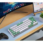 Mechanical Keyboard Factory - 2025 Mini RGB Gaming 68-Key Anti-ghosting Wired BT Green
