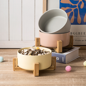 Slow Feeder Bowl Factory - Manufacturer Wholesale Custom Logo Elevated Ceramic Bowl