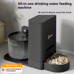 Automatic Pet Feeder Manufacturer - All-In-One Feeder Water Dispenser Solid Plastic Non-Electric