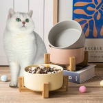 Slow Feeder Bowl Factory - Manufacturer Wholesale Custom Logo Elevated Ceramic Bowl