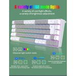 Mechanical Keyboard Factory - 2025 Mini RGB Gaming 68-Key Anti-ghosting Wired BT Green