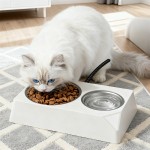 Constant Temperature Pet Feeder Manufacturer - Cat Dog Rabbit Water Bowl Anti-bite