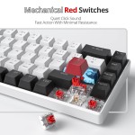 Mechanical Keyboard Supplier - 68-Key 60% Gaming LED Backlit Wired Custom Switches