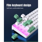 Mechanical Keyboard Factory - 2025 Mini RGB Gaming 68-Key Anti-ghosting Wired BT Green