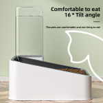 Pet Feeder and Water Dispenser Supplier - Stainless Steel Anti-Knock Eco-Friendly Cat