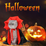 Pet Costume Supplier - Hot-Selling Halloween Cape Cat Vampire Cloak Dog Devil Costume