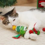 Christmas Cat Toys Manufacturer - Plush Self-Teasing Stick Boredom