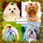 Pet Hair Rope Bow Manufacturer - New Animal Pattern Festive