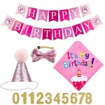 Dog Birthday Bandana Factory - Party Pull Flag Triangle Scarf