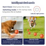USB Pet Toy Factory - Smart Moving Automatic Bouncing Ball