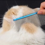 Pet Hair Comb Factory - Customized 16/19cm Stainless Steel