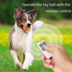 Smart Pet Toy Supplier - Interactive Rubber Chew Ball Remote