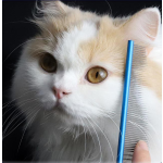 Professional Pet Comb Supplier - 16.5cm/19cm Crescent-Shaped