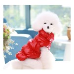 Winter Pet Jacket Factory - Classic Warm Double Buckle Design